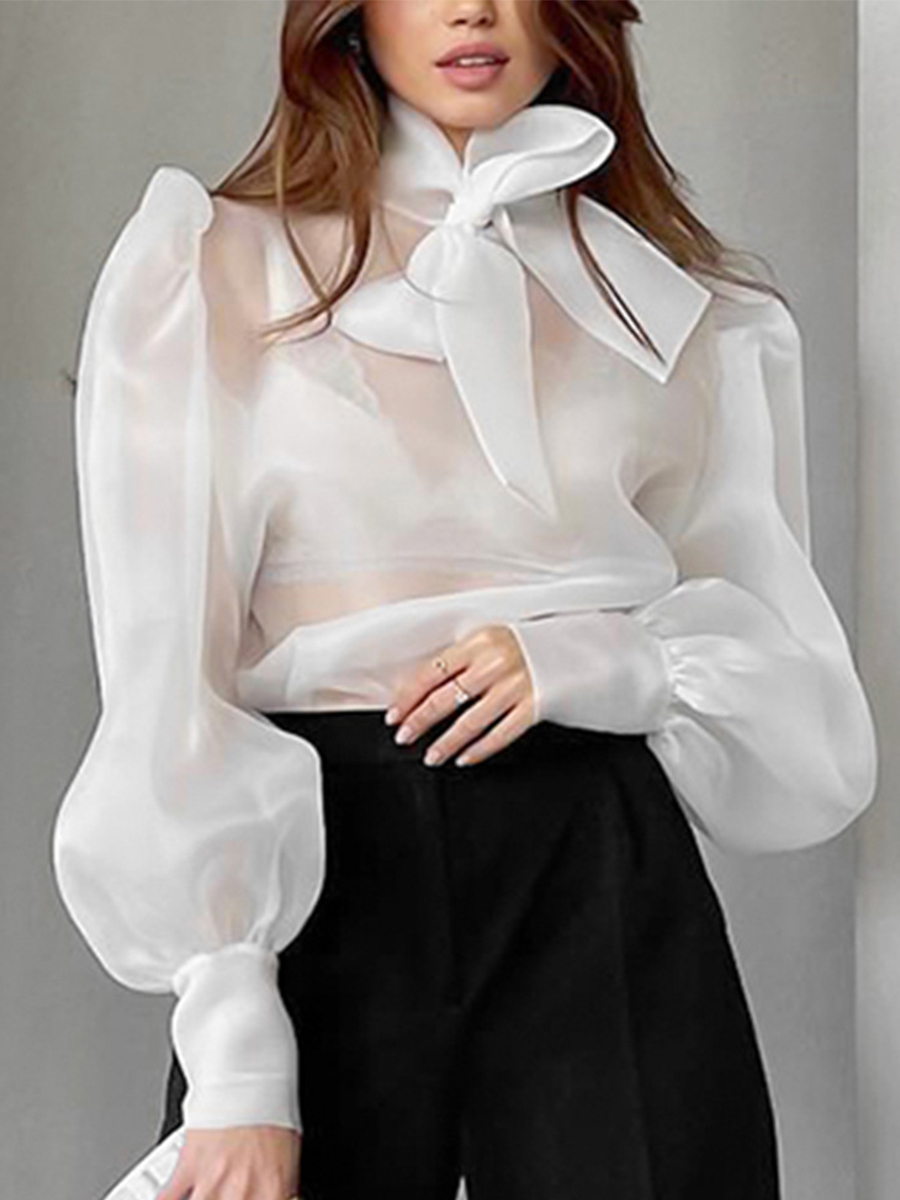 Mesh Top Layering - Neue elegante transparente Mesh-Bluse für Damen
